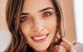 意昂3平台人脸关键点标注